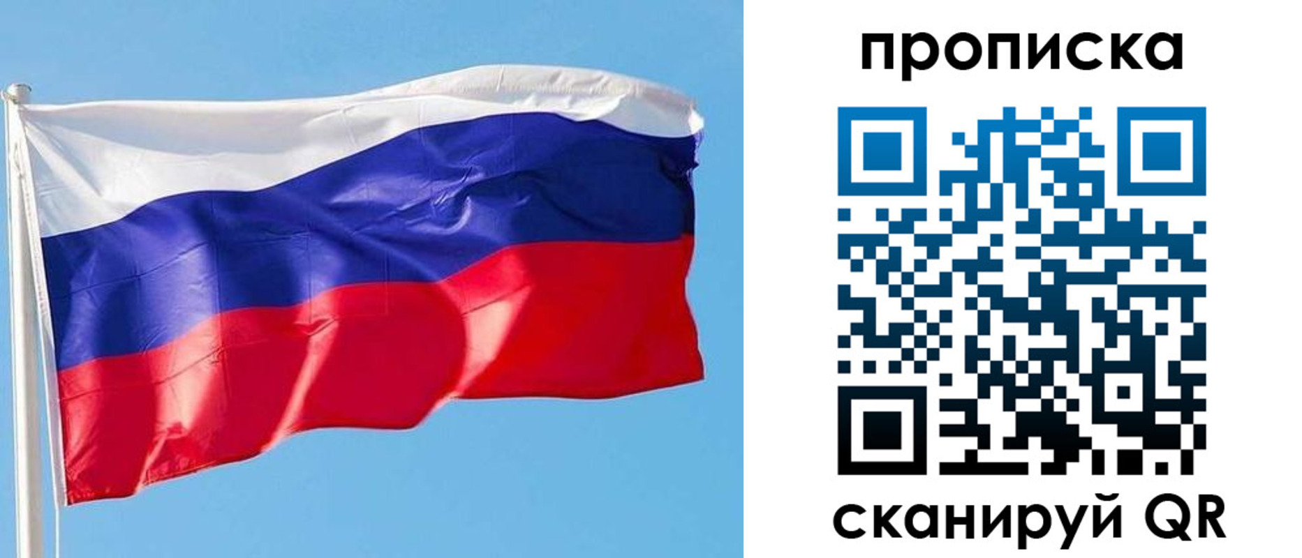 прописка поиск в Боровичах